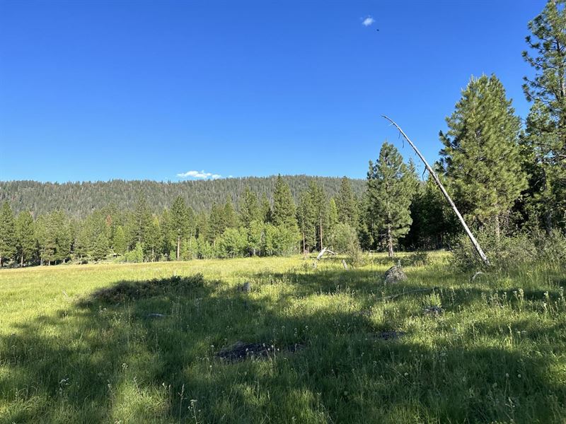 Wrights Spring 160 : Chiloquin : Klamath County : Oregon
