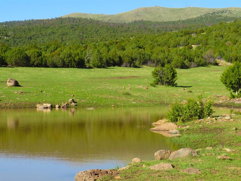 Archuleta Ranch : Des Moines : Union County : New Mexico