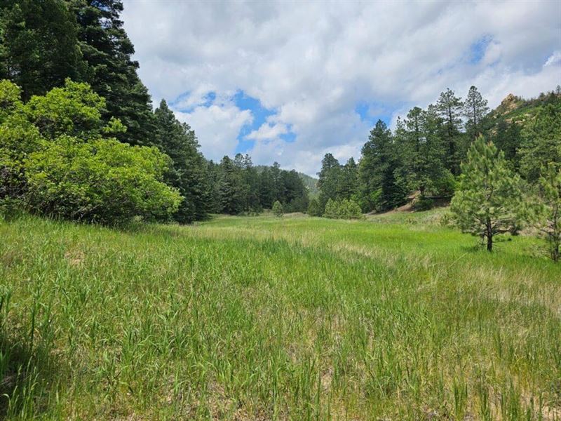 17 Pine Valley Filing : Weston : Las Animas County : Colorado