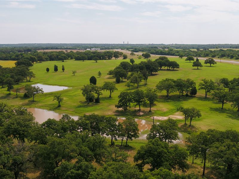 156 Acres in Milam County : Rockdale : Milam County : Texas
