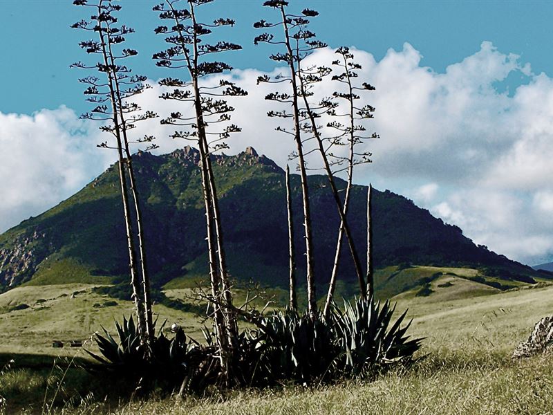 Madonna-Twisselman Ranch : San Luis Obispo : San Luis Obispo County : California
