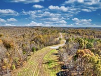 13.8 Acres, No HOA, RVs Okay : Indian Mound : Stewart County : Tennessee