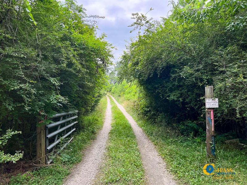 Adger Hills West Tract : Winnsboro : Fairfield County : South Carolina