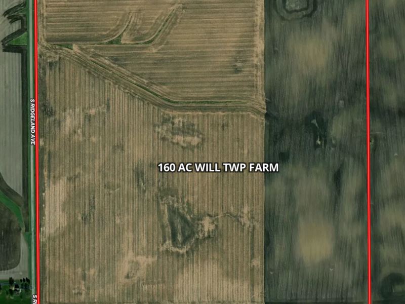 160 AC Will Twp Farm : Peotone : Will County : Illinois