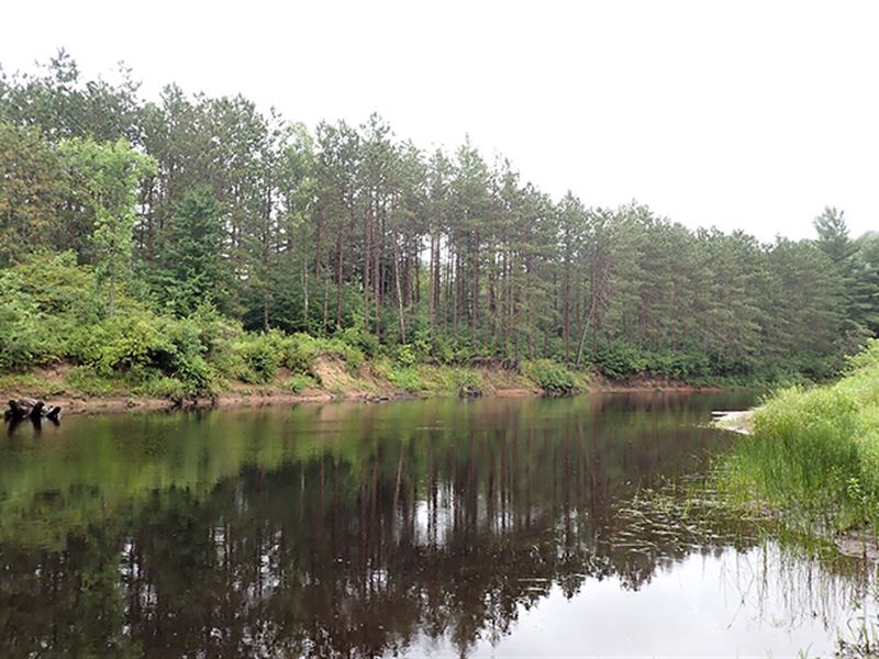 Lower Oswegatchie River Parcel 4 : Pitcairn : Saint Lawrence County : New York