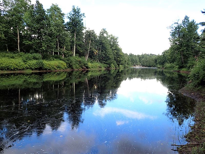 Lower Oswegatchie River Parcel 6 : Fowler : Saint Lawrence County : New York