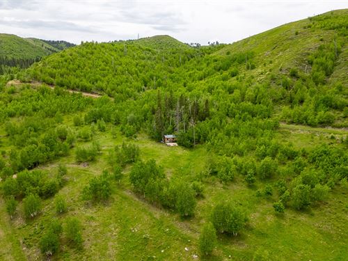 Two-Bit Ranch : Deadwood : Lawrence County : South Dakota