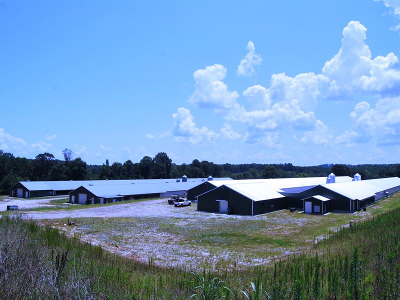 Breeder Farm with 4 Houses : Martin : Franklin County : Georgia