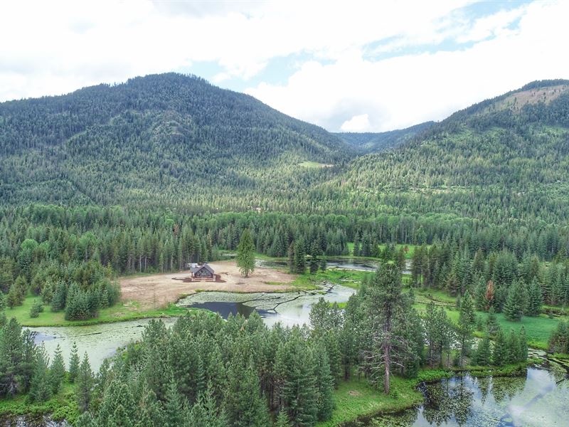Elk Meadow Majesty : Heron : Sanders County : Montana