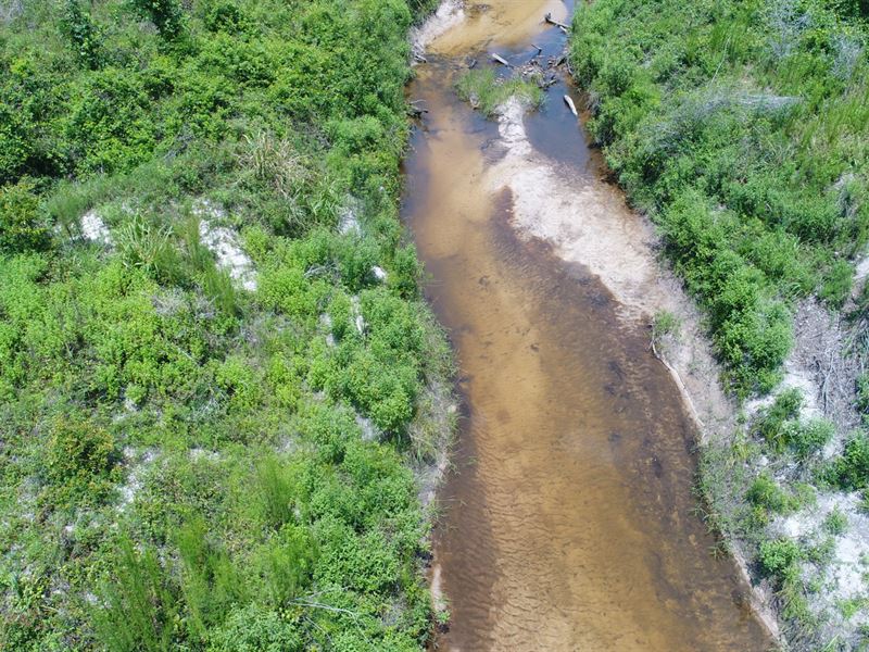 18 Ac Butler Co : McKenzie : Butler County : Alabama