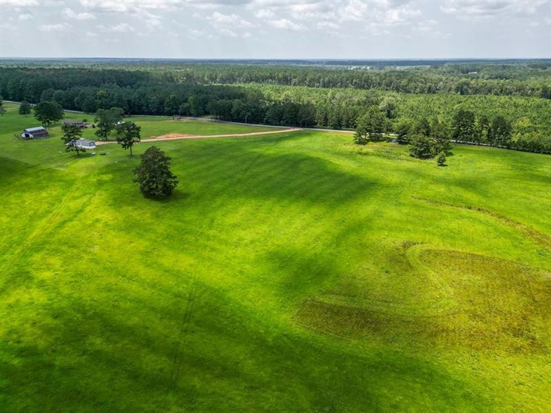 105.27 Acres Pastureland, Home : Ruth : Lincoln County : Mississippi