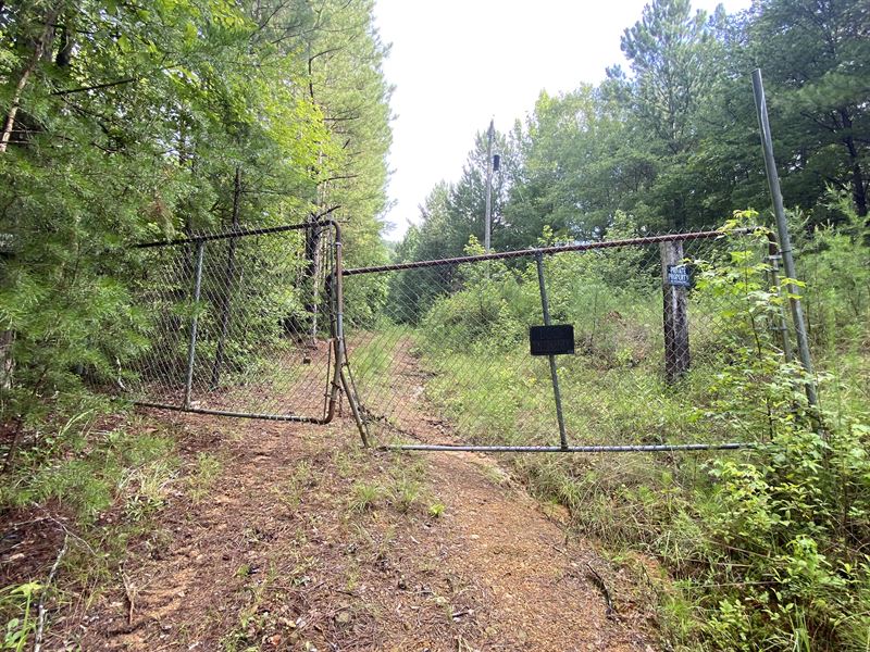 Seclusion, Benny's Hideaway : Gallant : Etowah County : Alabama