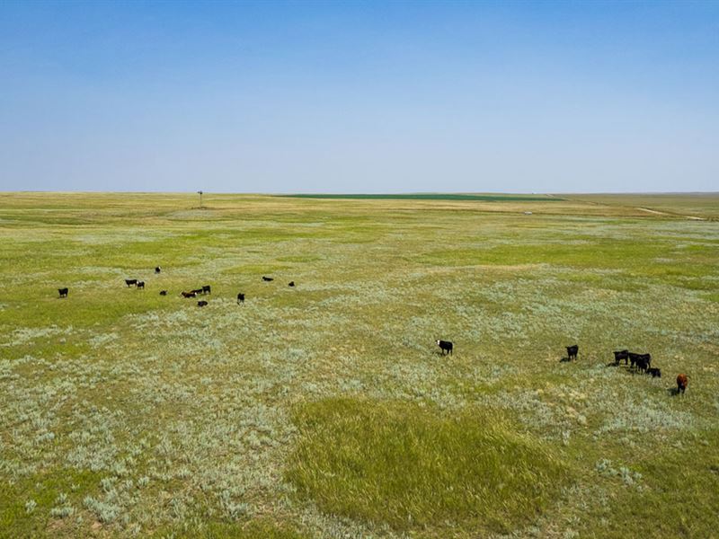 Prairie Center Ranch : Torrington : Goshen County : Wyoming