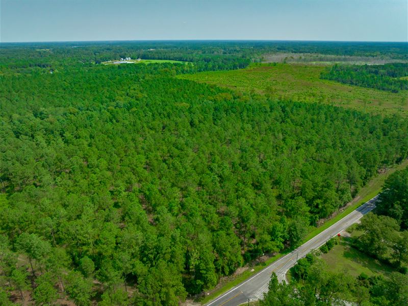 Bucks 1 Tract : Horry : Horry County : South Carolina