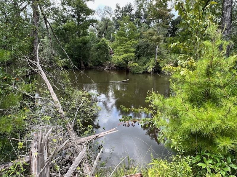 111 Acres, 3,200 Ft Chipola River : Marianna : Jackson County : Florida