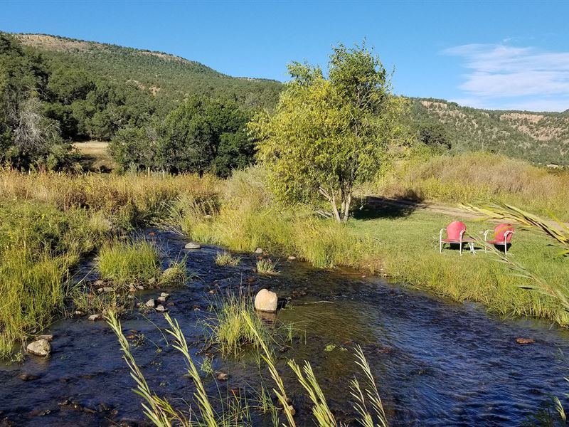 Miles of Trout Fishing : Cripple Creek : Teller County : Colorado
