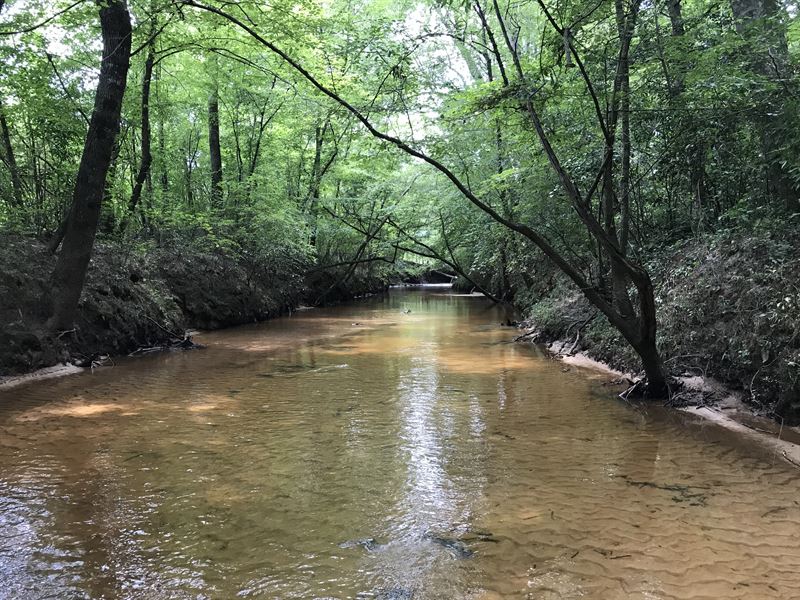 156+/- Acres in Newton County, MS : Little Rock : Newton County : Mississippi