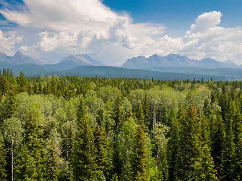Trail Creek : Polebridge : Flathead County : Montana