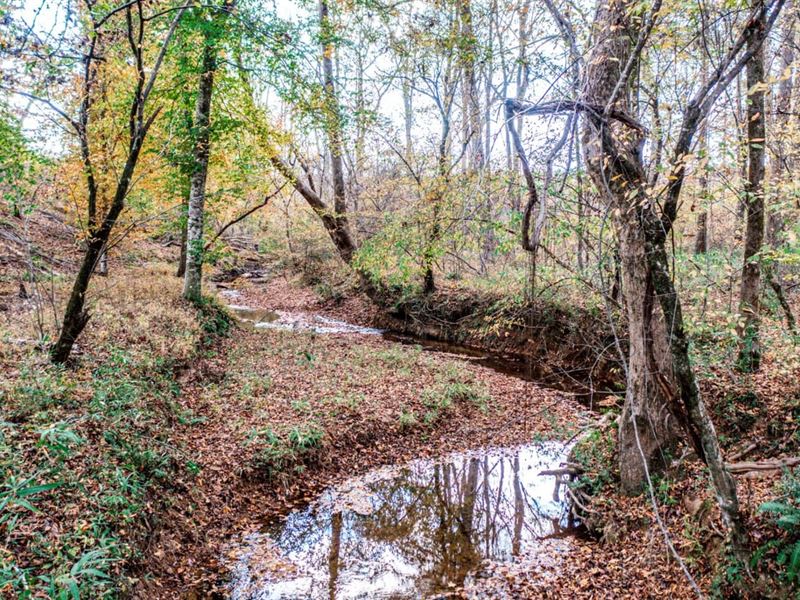 Murder Creek Plantation : Shady Dale : Jasper County : Georgia