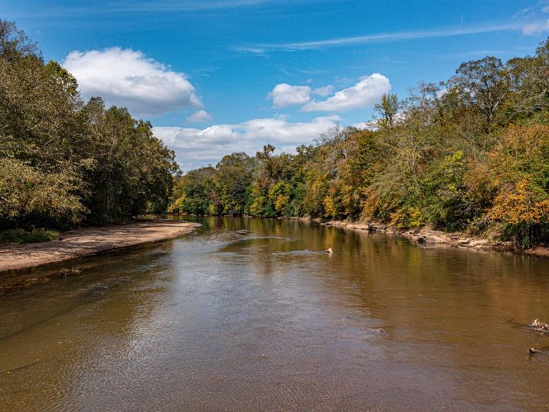 Broad River Hardwood : Comer : Madison County : Georgia