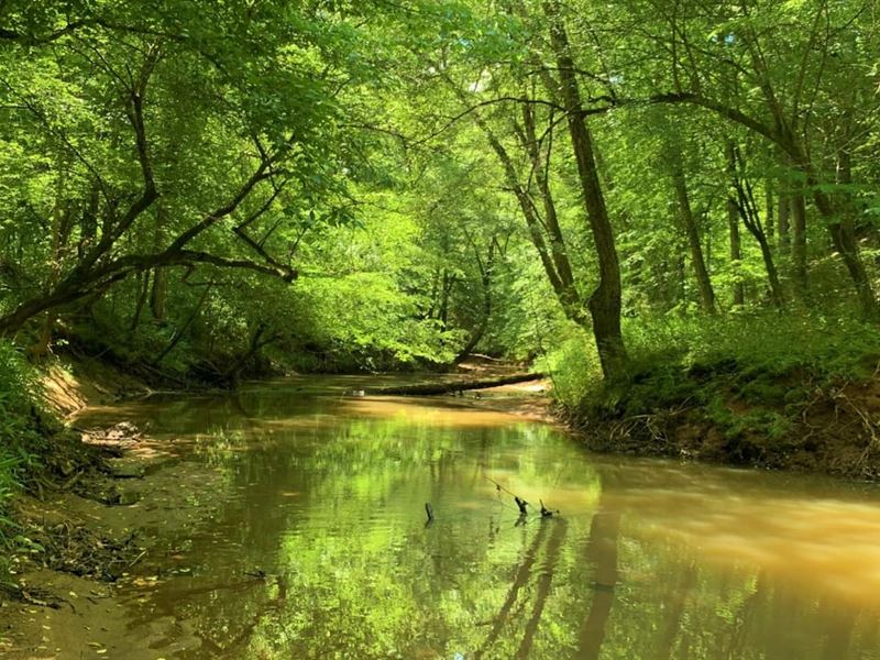 Little River Retreat : Crawfordville : Taliaferro County : Georgia