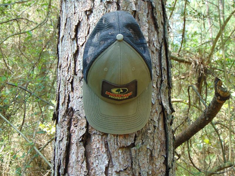 106 Acres of Timberland with Owner : Brookhaven : Lincoln County : Mississippi