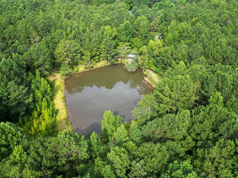 Hunting Land 40 Ac, Pond : Roanoke : Chambers County : Alabama