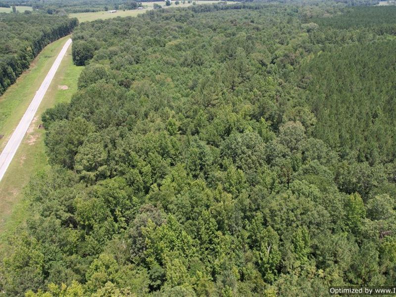 72.14 AC in Newton County, MS : Lawrence : Newton County : Mississippi