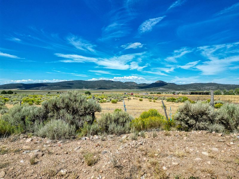 41.163 Acres Near San Luis, CO : San Luis : Costilla County : Colorado
