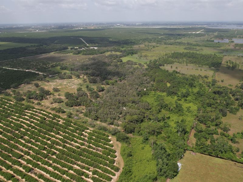 Southridge : Avon Park : Highlands County : Florida