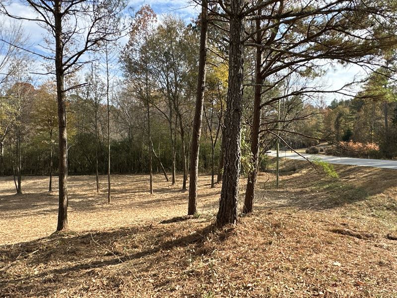 Mountain Home : Cedartown : Polk County : Georgia