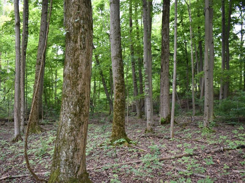 Priebe Trust Acres : Fredonia : Chautauqua County : New York