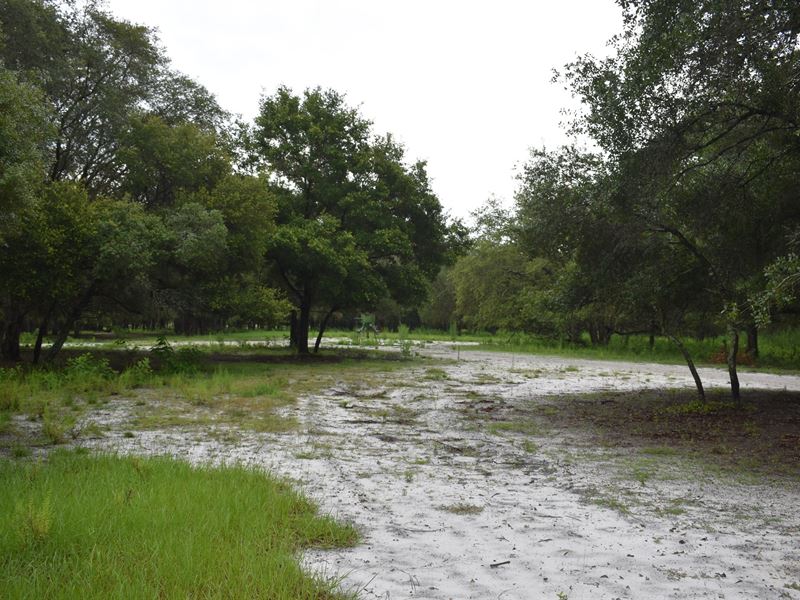 South Lake County Ranch and Retreat : Groveland : Lake County : Florida