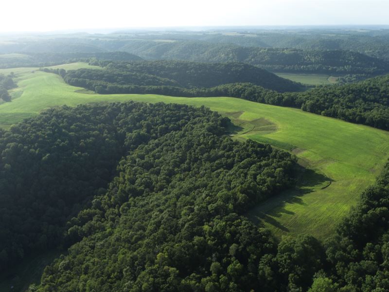 124.55 Acres Buffalo County : Alma : Buffalo County : Wisconsin