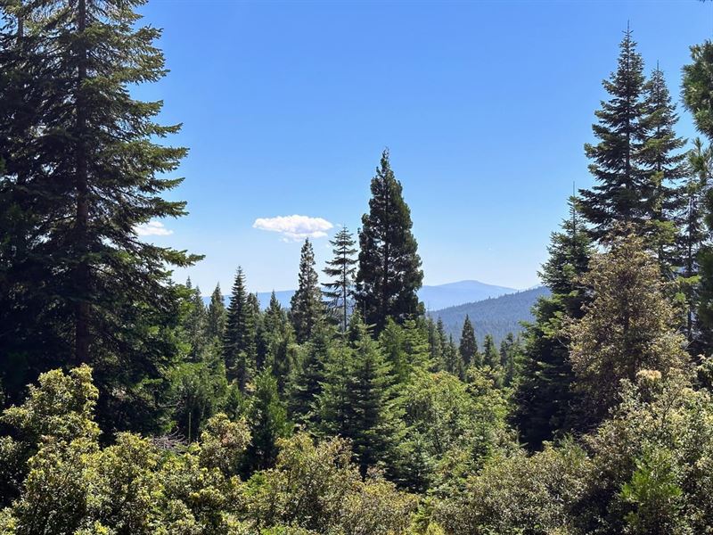 Tub Springs 160 : Ashland : Jackson County : Oregon