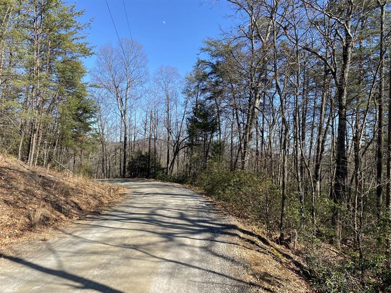 Summit Ridge Rd : Purlear : Wilkes County : North Carolina