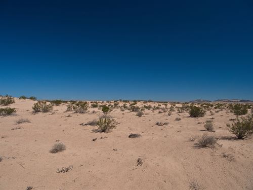 Let Your Dreams Flourish : Newberry Springs : San Bernardino County : California