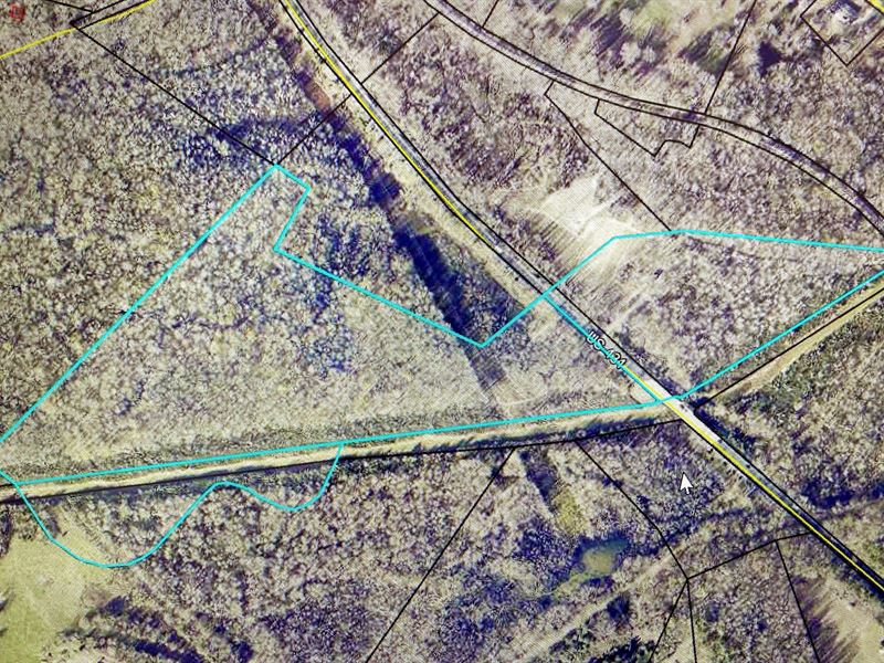Deer, Ducks & Turkey in One Tract : Drakesboro : Muhlenberg County : Kentucky