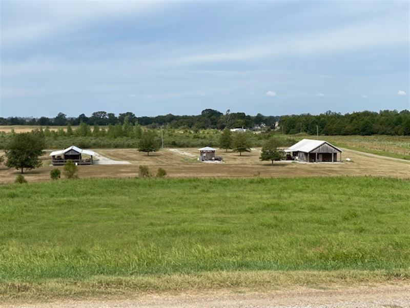 La, Madison 700 Acres : Sondhiemer : Madison Parish : Louisiana