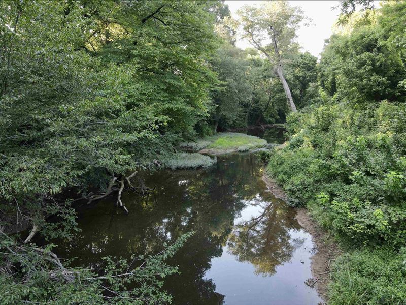 Big Creek Hunting & Timber : Albion : White County : Arkansas
