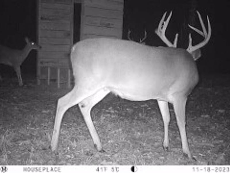 Madison County Bucks and Gobblers : Camden : Madison County : Mississippi