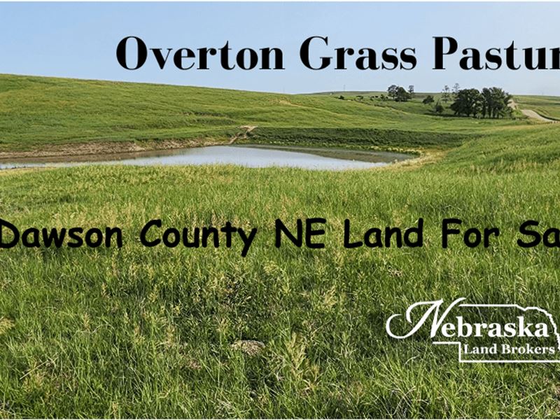 Overton Grass Pasture : Overton : Dawson County : Nebraska