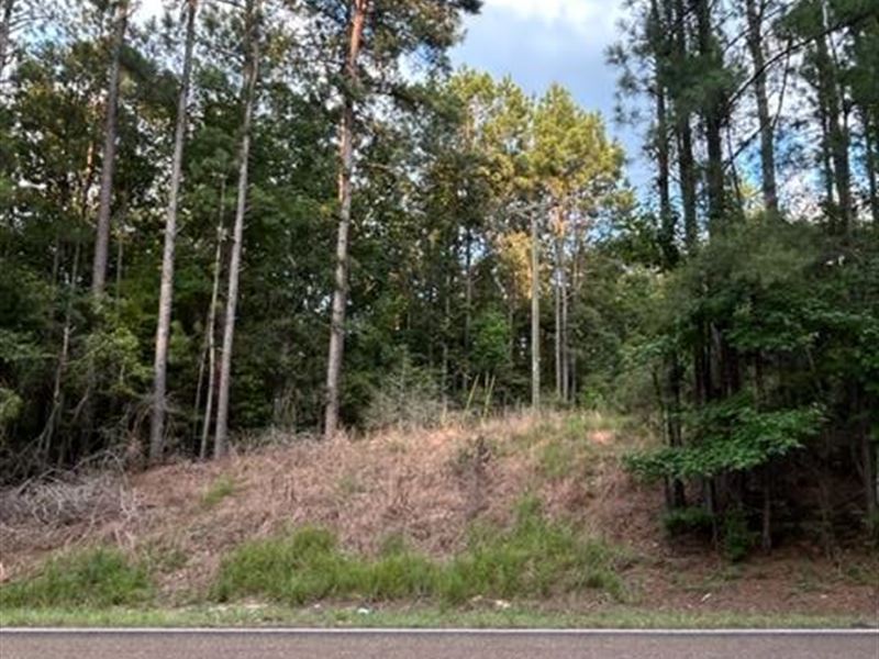 13.73 Ac W Homochitto Rd, Gloster : Gloster : Amite County : Mississippi