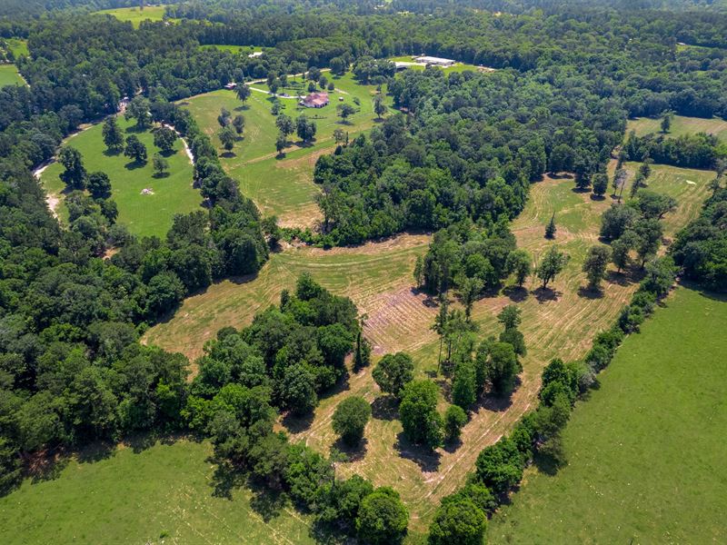 Beautiful Ranch on 51.907 Acres : Shepherd : San Jacinto County : Texas