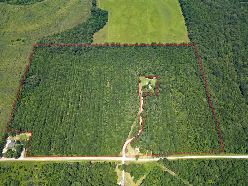 La, Franklin 58 Acres : Winnsboro : Franklin Parish : Louisiana