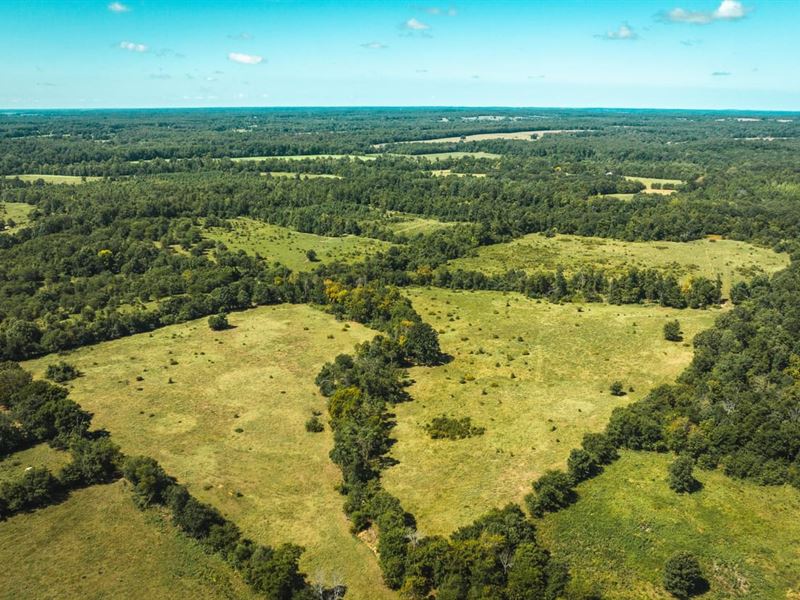 Eastern Ozark Border Pasturelands 2 : Doniphan : Ripley County : Missouri