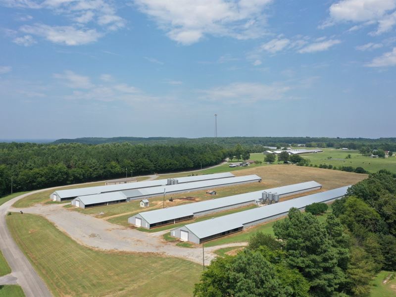 Reduced, Sang Broiler Farm : Town Creek : Lawrence County : Alabama