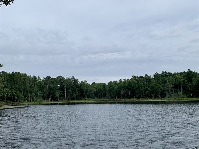 Large Tract in Carroll County, GA : Bowdon : Carroll County : Georgia
