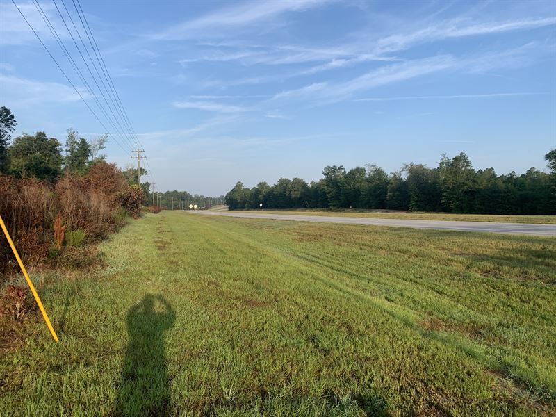 Savannah River Parkway : Sylvania : Screven County : Georgia