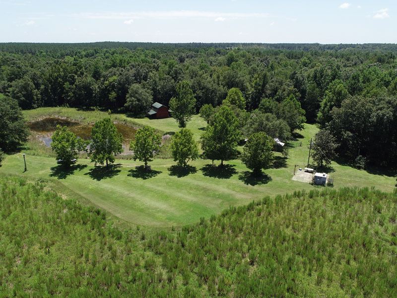 100 Acres with a Cabin and Pond : Waynesboro : Burke County : Georgia